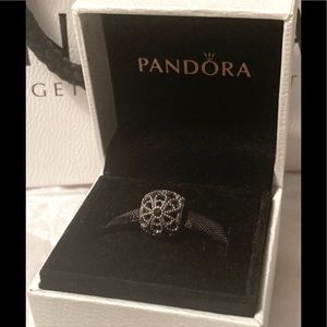 Pandora Charm